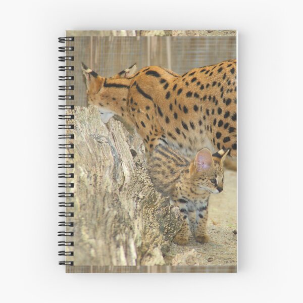 Item preview, Serval Cat & Male Kitten designed and sold by Carole-Anne.