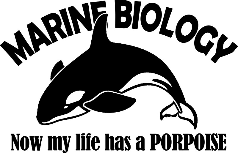 Marine Biology Stickers Redbubble