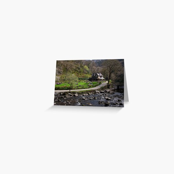 Watersmeet Greeting Card