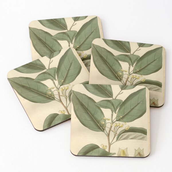 Item preview, Curtis's botanical magazine (Plate 2756) (8611152420) designed and sold by EsotericBotanic.