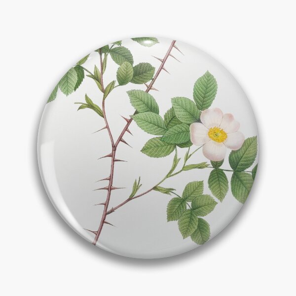 Item preview, Les Roses by Pierre-Joseph Redouté designed and sold by EsotericBotanic.