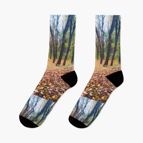 Item preview, Autumn forest, fall, natural background  designed and sold by helenkaiy.