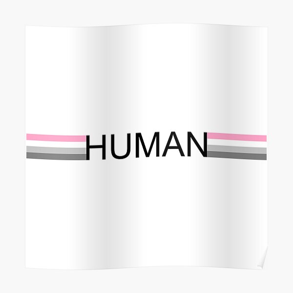 Demigirl Pride Flag Human Poster By Laurenbasamot Redbubble 4808