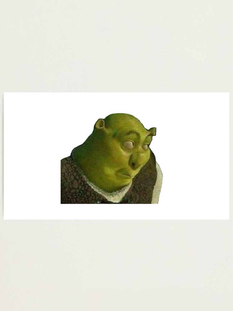 Shrek meme | Photographic Print