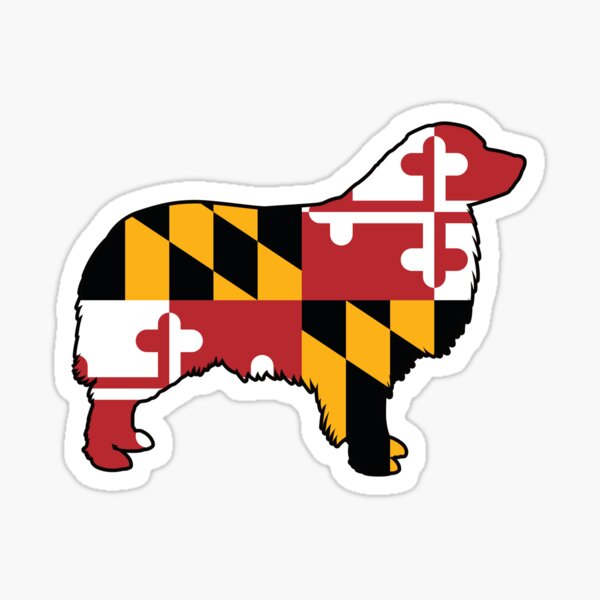 Artikel-Vorschau von Maryland Flag Australian Shepherd Dog für Australian Shepherd Besitzer, Züchter und mehr, designt und verkauft von MarylandStyle.
