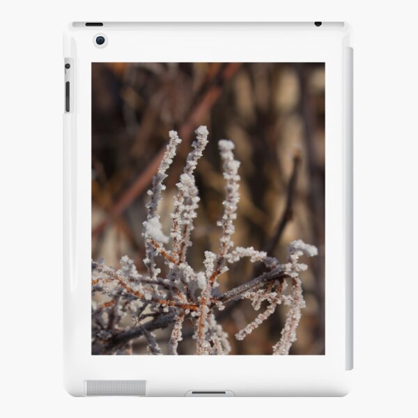 Frosty salute iPad Snap Case