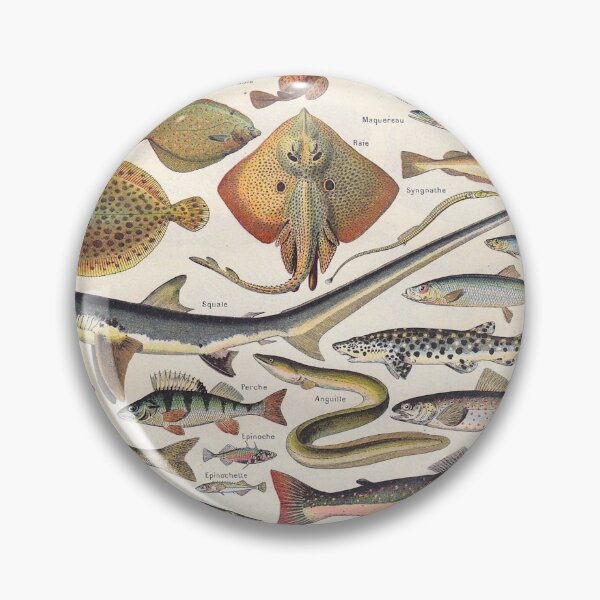 Item preview, Adolphe Millot Fish Larousse Encyclopedia Vintage Scientific Illustration Educational Lithograph designed and sold by Ejaaz.
