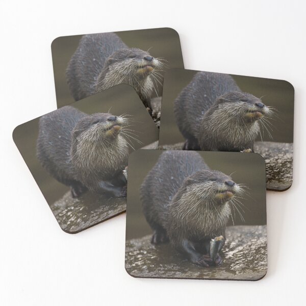 Item preview, Otterly Happiness designed and sold by rawshutterbug.