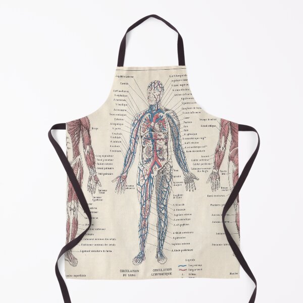 Item preview, Adolphe Millot Human Anatomy Larousse Encyclopedia Vintage Scientific Illustration Educational Lithograph designed and sold by Ejaaz.
