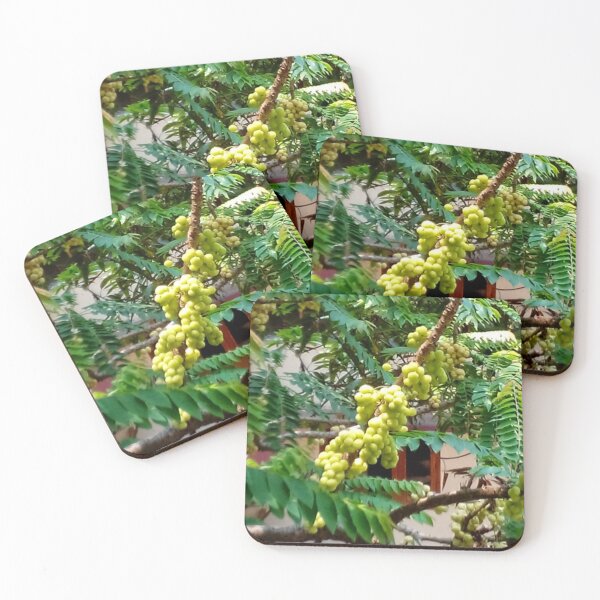 Item preview, Berries designed and sold by Jyothish Kaviraj.