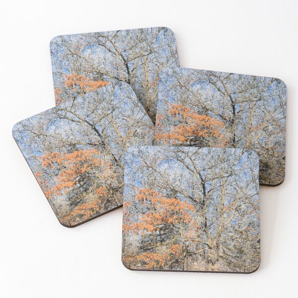 Item preview, Frosted Woodland designed and sold by LynyrdSky.