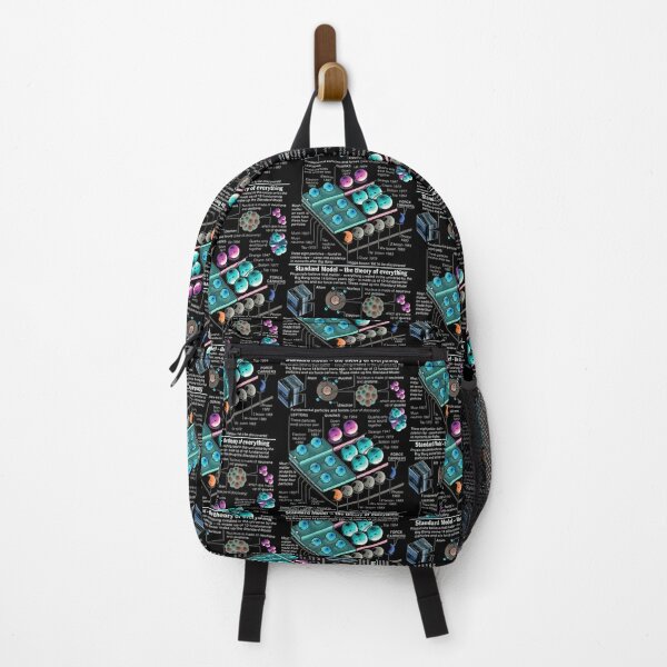 Physics Standard Model Theory  Backpack