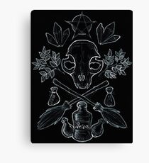 Witchcraft Canvas Print