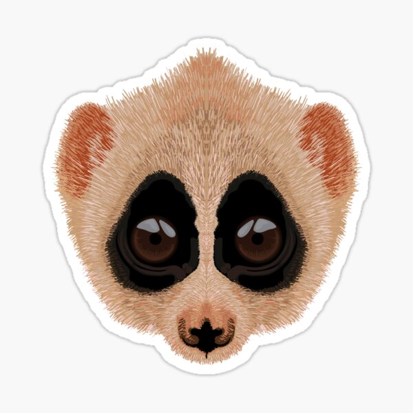 Produits Sur Le Theme Slow Loris Redbubble