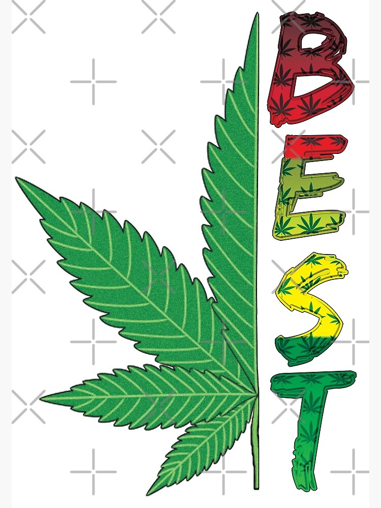 Lámina fotográfica «Best buds la MEJOR mitad del juego BEST BUDS a