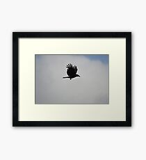 Crow Framed Print