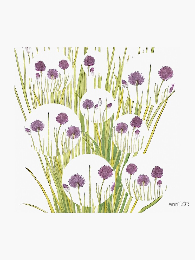 Botanical watercolour by anni103