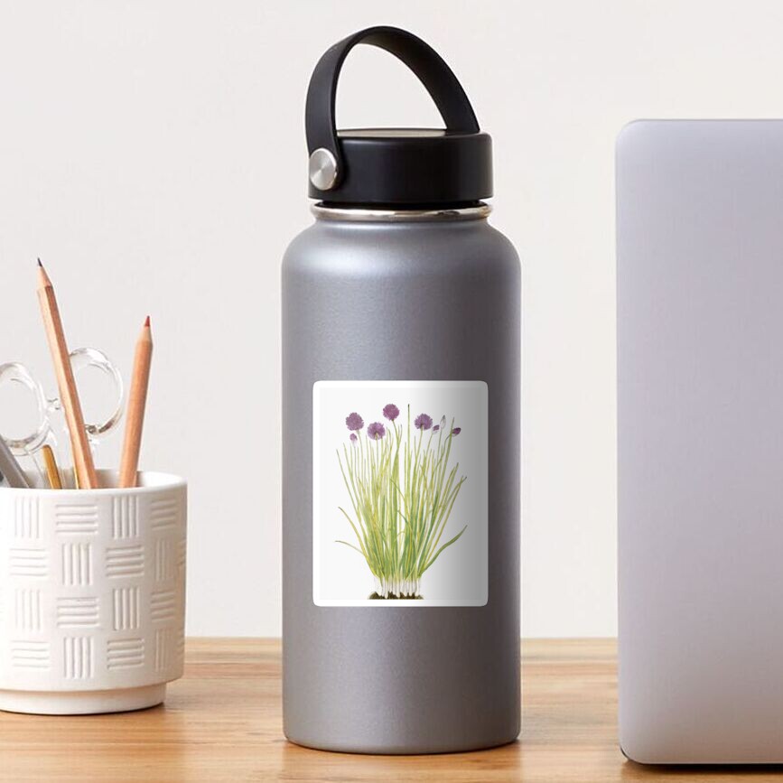 Botanical watercolour Sticker