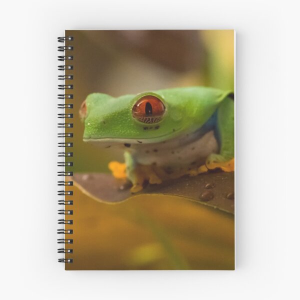 Item preview, Red eyed Tree Frog (Right Side) designed and sold by ppsphotography.