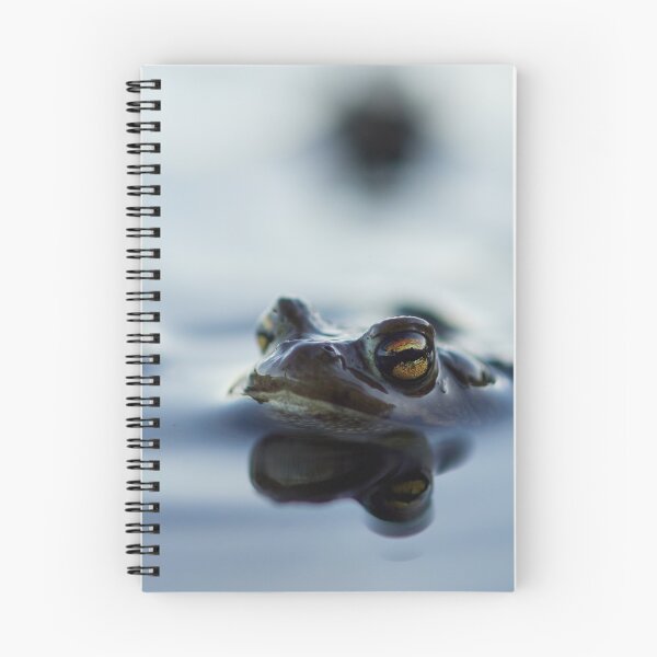 Item preview, Hello mate. Europea toad designed and sold by Jouko Lehto Photography.