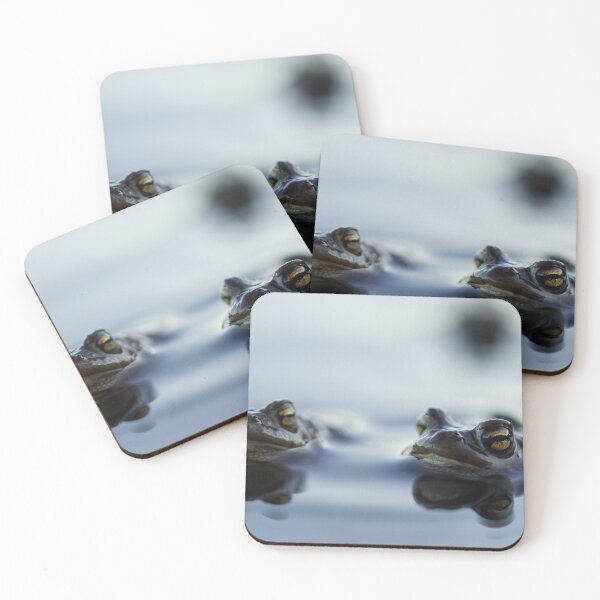 Item preview, Hello mate. Europea toad designed and sold by Jouko Lehto Photography.