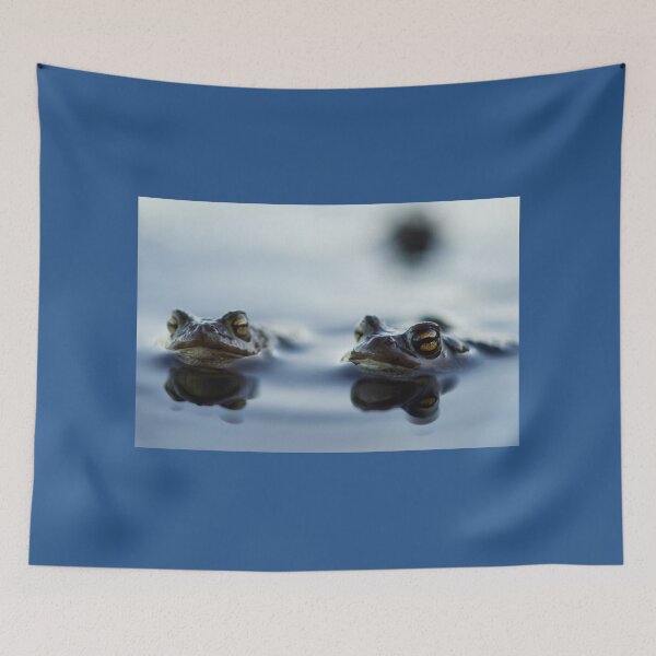 Item preview, Hello mate. Europea toad designed and sold by Jouko Lehto Photography.
