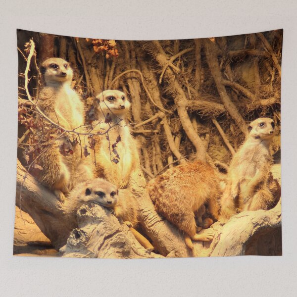 Aperçu de l'œuvre Gang de suricates créée et vendue par DomenicBlair77.