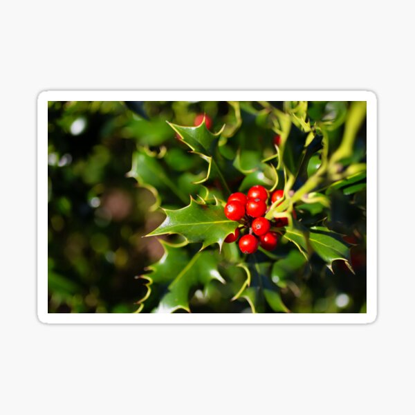Item preview, Festive Holly designed and sold by Kasia Design.