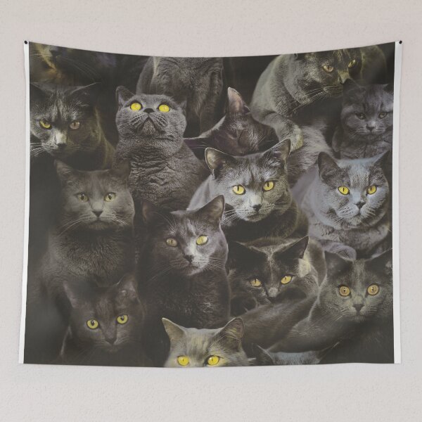 Item preview, Chartreux designed and sold by MaxencePierrard.