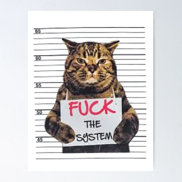 Fuck the System \