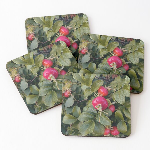 Item preview, Bright rose hip designed and sold by vieno.
