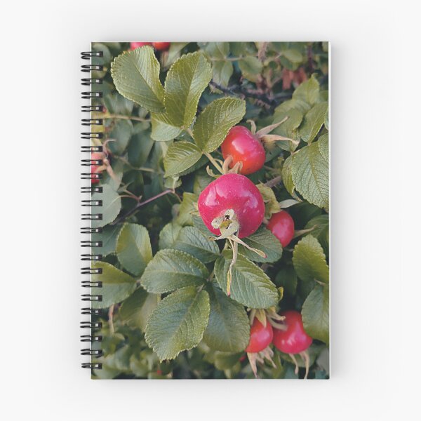 Item preview, Bright rose hip designed and sold by vieno.