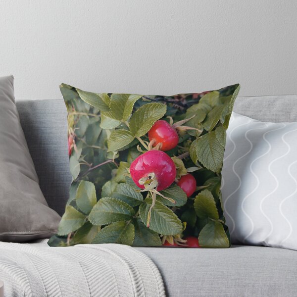 Item preview, Bright rose hip designed and sold by vieno.
