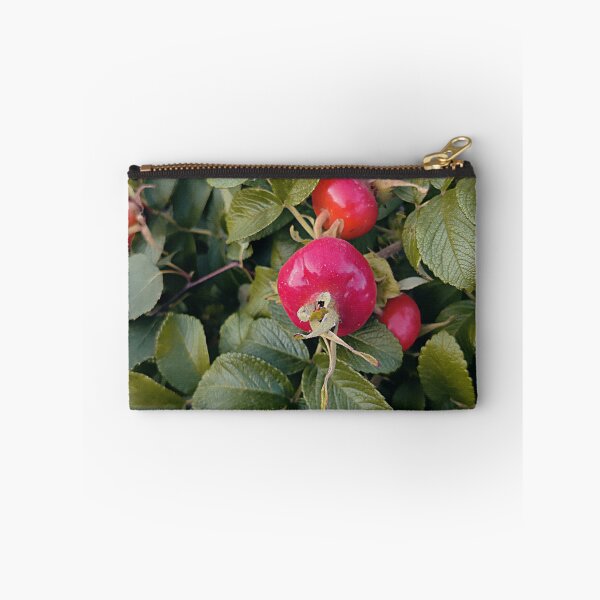 Item preview, Bright rose hip designed and sold by vieno.