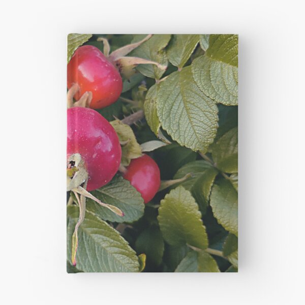 Item preview, Bright rose hip designed and sold by vieno.