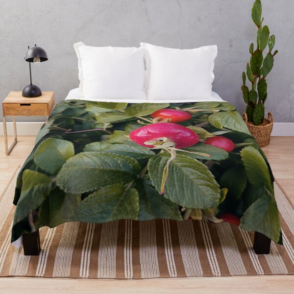 Item preview, Bright rose hip designed and sold by vieno.