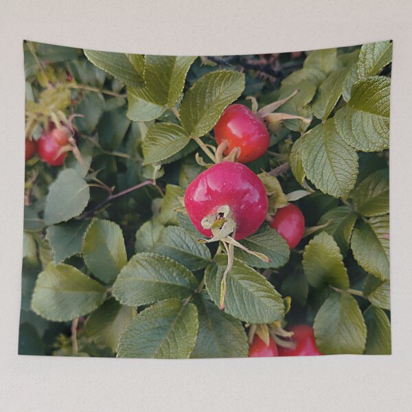 Item preview, Bright rose hip designed and sold by vieno.