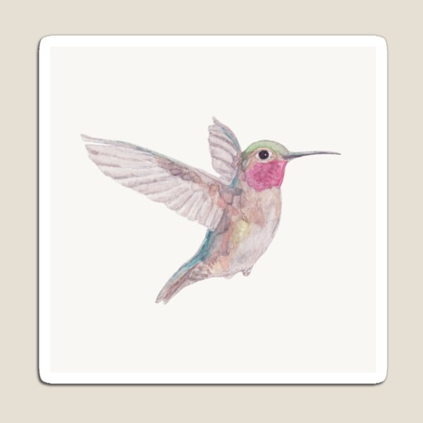 Hummingbird watercolor Magnet