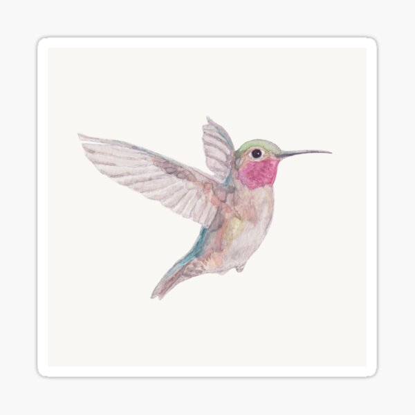 Hummingbird watercolor Sticker