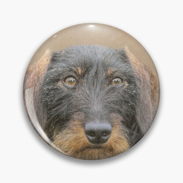 Item preview, Wire-Haired Dachshund designed and sold by Elisabeth Lucas.