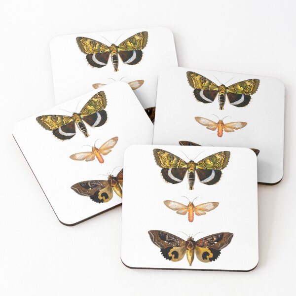 Item preview, Moths (1892) - Biological Illustration designed and sold by SALON DES ARTS.