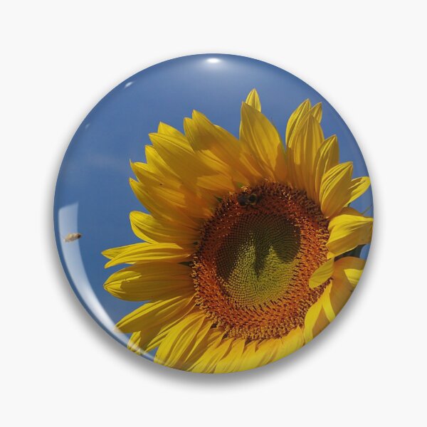 Item preview, Sunny sunflower soloist (with backup chorus) designed and sold by rvjames.