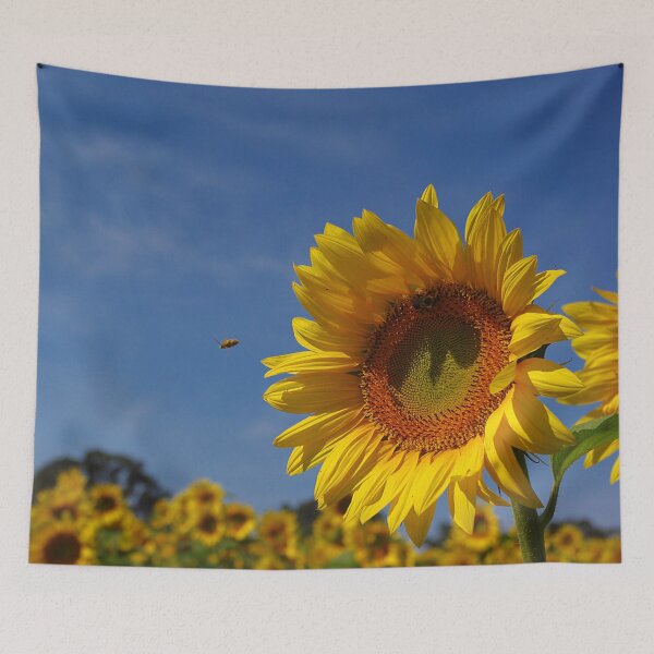 Item preview, Sunny sunflower soloist (with backup chorus) designed and sold by rvjames.