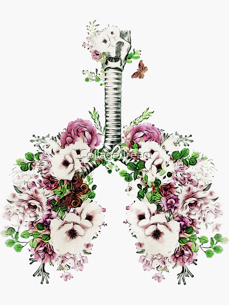 "Lungs, floral, pink antique white roses,lung cancer awareness" Sticker
