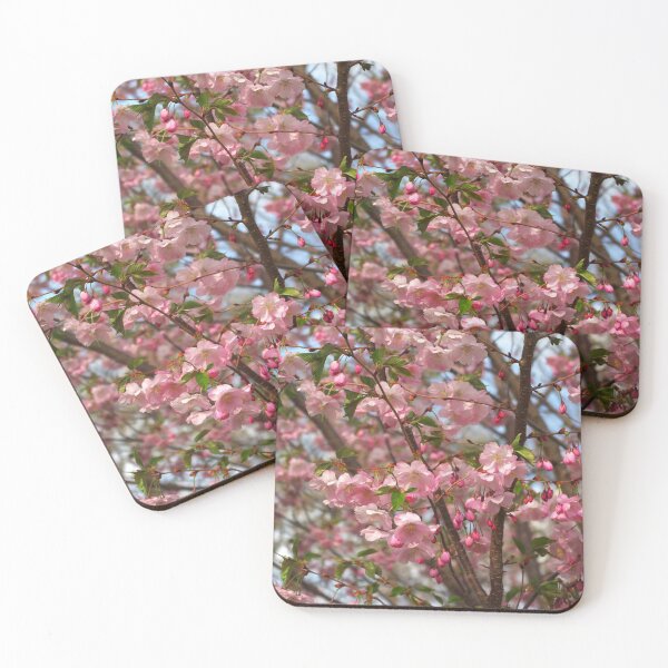 Item preview, Primavera de flor de cerezo designed and sold by rvjames.