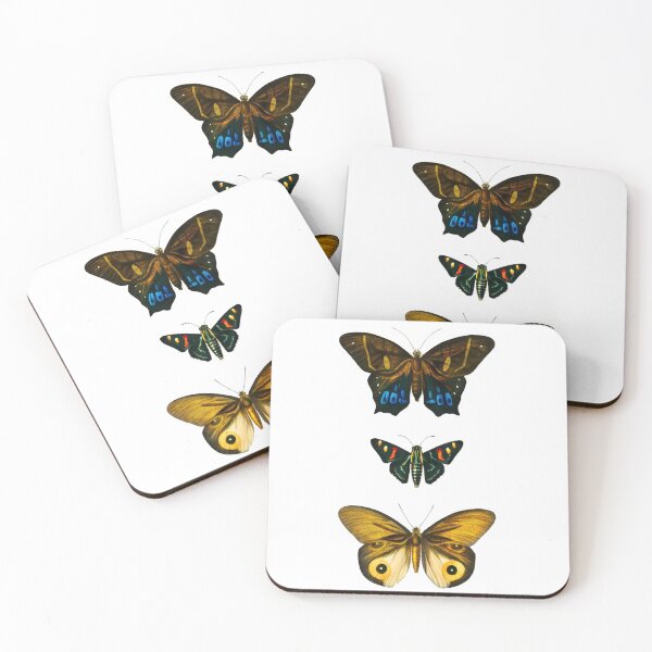 Item preview, Butterflies (1892) - Biological Illustration designed and sold by SALON DES ARTS.