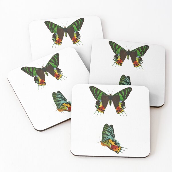 Item preview, Butterflies (1892) - Biological Illustration designed and sold by SALON DES ARTS.