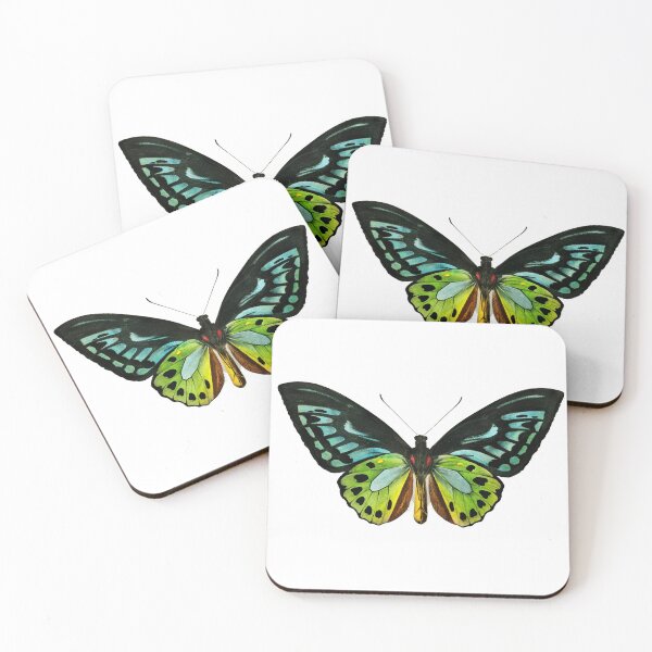 Item preview, Butterfly (1892) - Biological Illustration designed and sold by SALON DES ARTS.