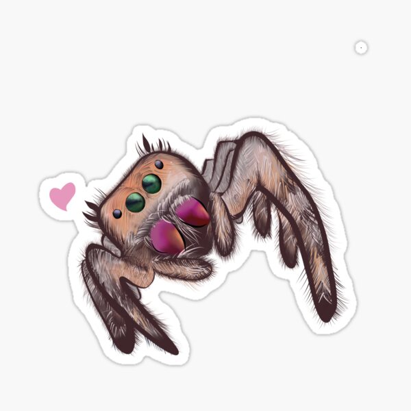 Jumping Spider Love Sticker