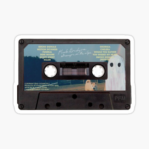 Phoebe bridgers Sticker